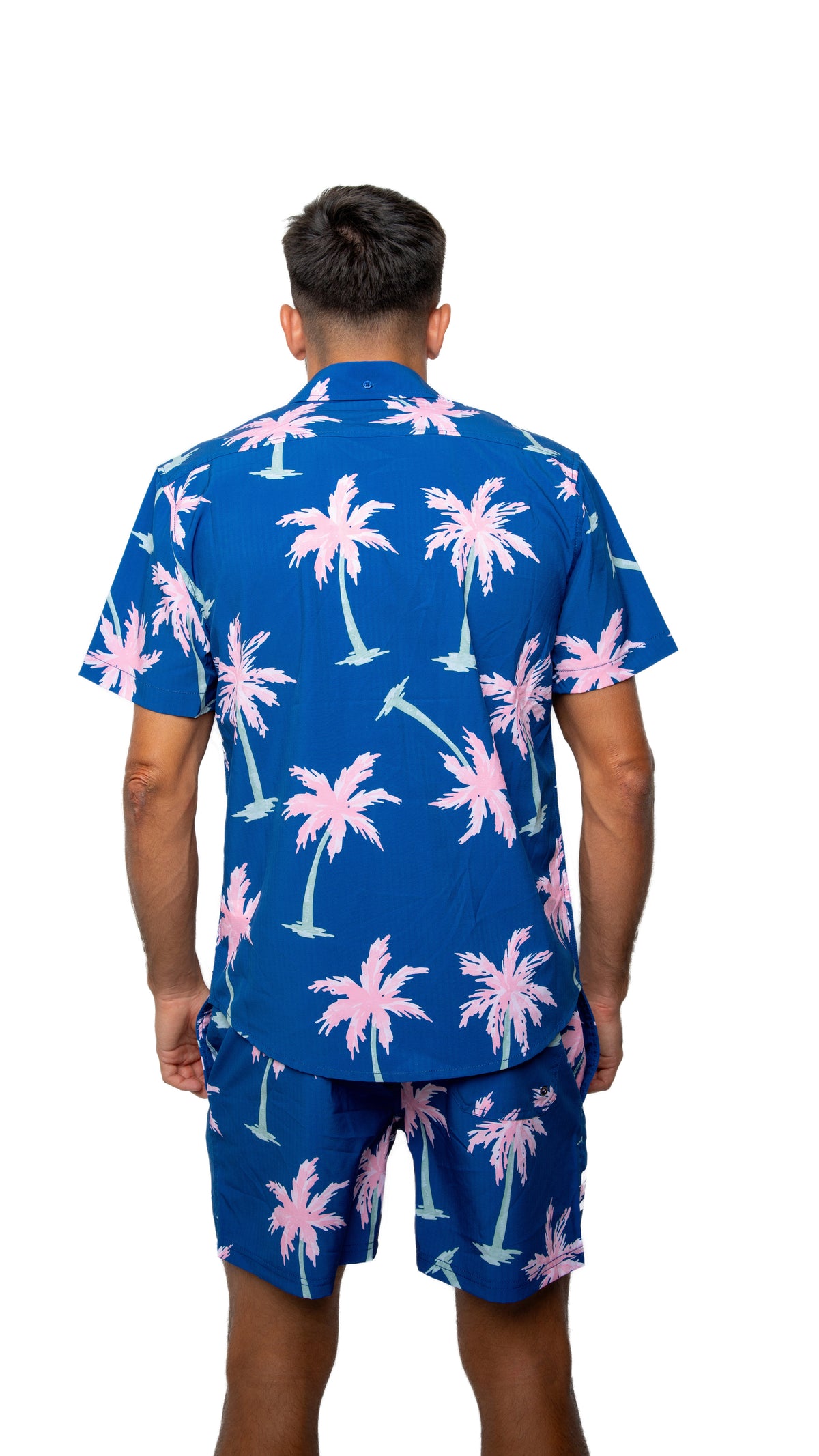 Blue/Pink Palm Trees